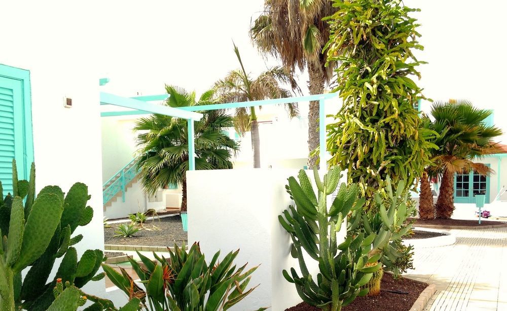 ホテル Smy Tahona Fuerteventura カレタ・デ・フステ エクステリア 写真